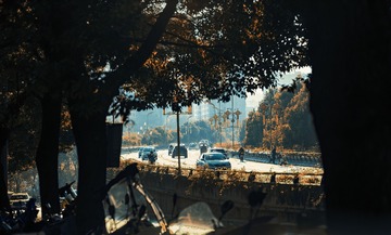 1000036714