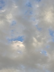 1000020055