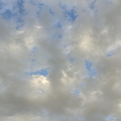 1000020056
