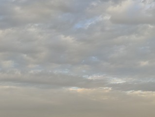 1000020054