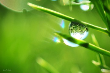 雨后