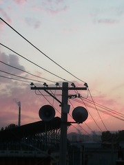 507269