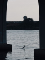 001