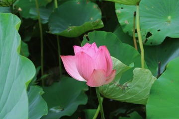 001