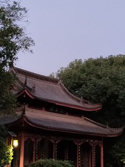 1000065437
