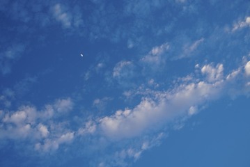 1000011558