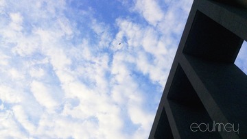 DSC_0367.jpg