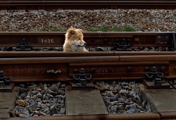 89707
