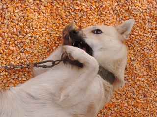1000001174