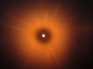 1000013241