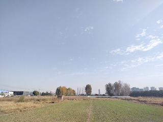 1000039748
