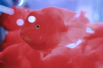 1000010895