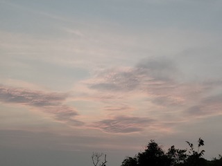 1000035501