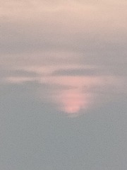 1000035475
