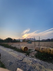 1000035506