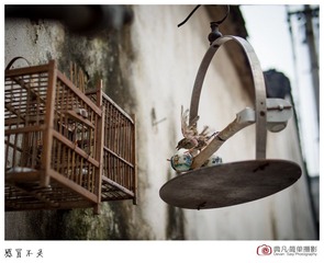 感冒5.jpg