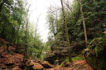 DSC_0932.jpg
