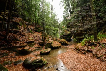 DSC_0948.jpg