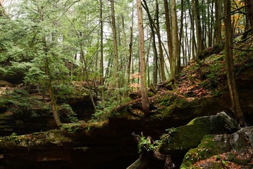 DSC_0960.jpg