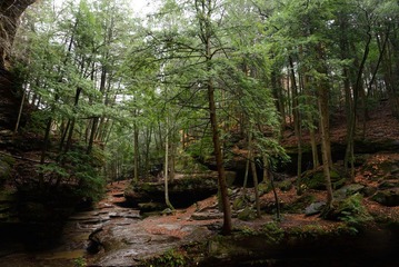 DSC_0968.jpg