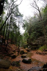 DSC_1011.jpg