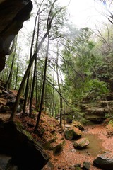 DSC_1018.jpg