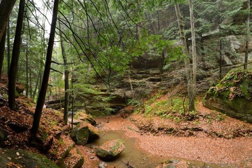 DSC_1025.jpg