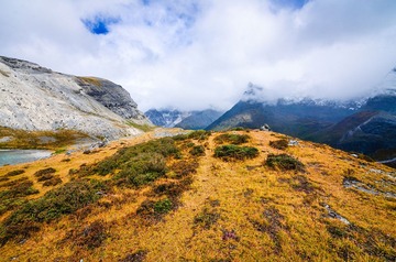 DSC_8071m