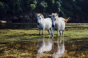 DSC_7893m