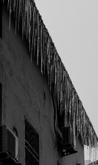 1000102388