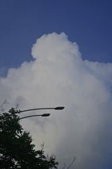 1000012571