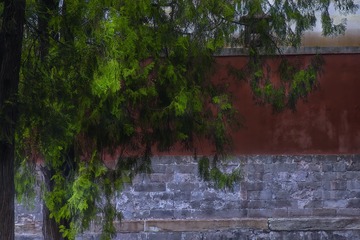 红墙绿树01s