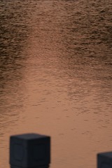 1000034142