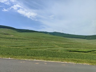 1000022680