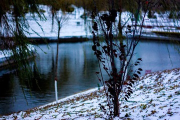 _MG_5733-1.jpg