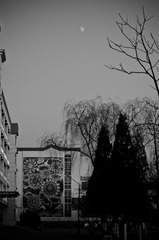 _MG_5997-1.jpg
