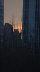 1000028733