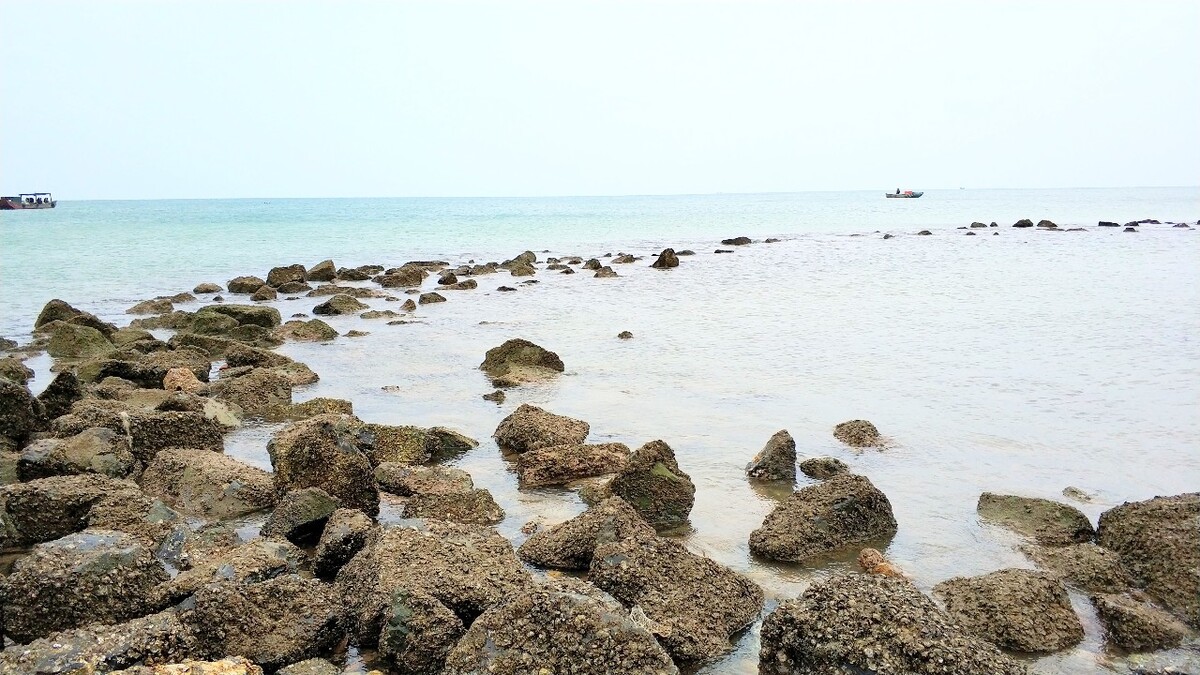海牙