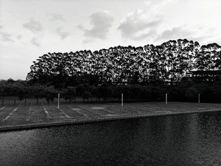 1000051679