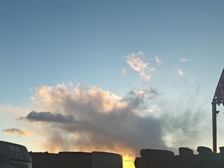 1000055564