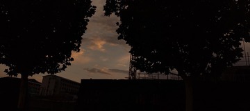 1000088003