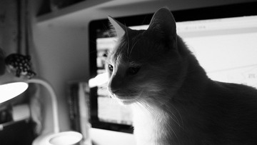 DSCF0005.jpg