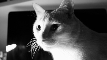 DSCF0013.jpg