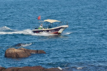 3166435