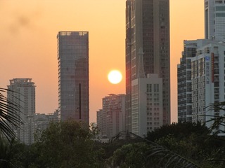1000258095