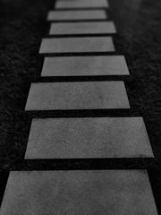 1000025790
