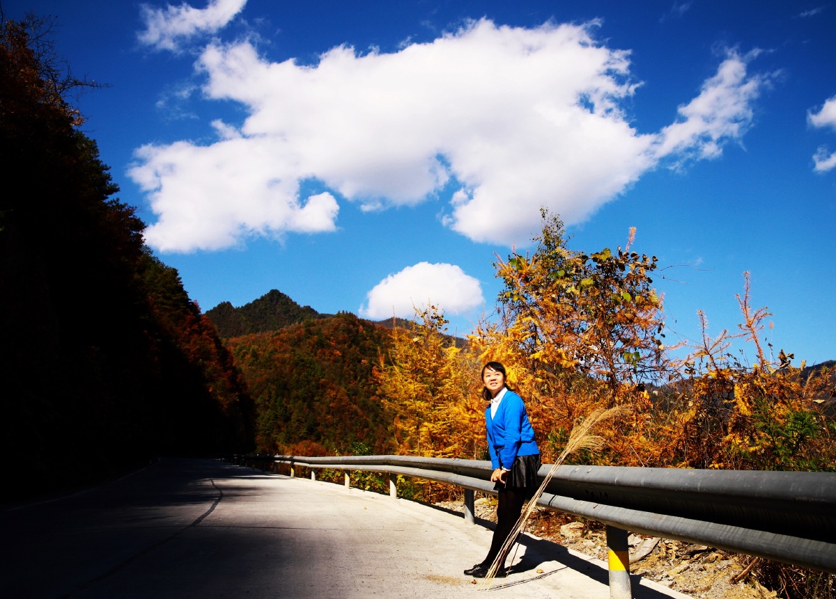 最近几个月比较喜欢的一些照片