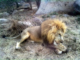25072010142.jpg