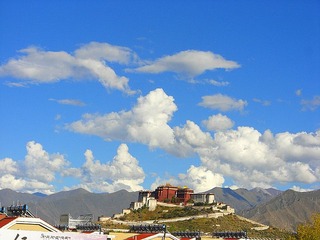 CIMG7786_副本.jpg