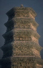 1000010627